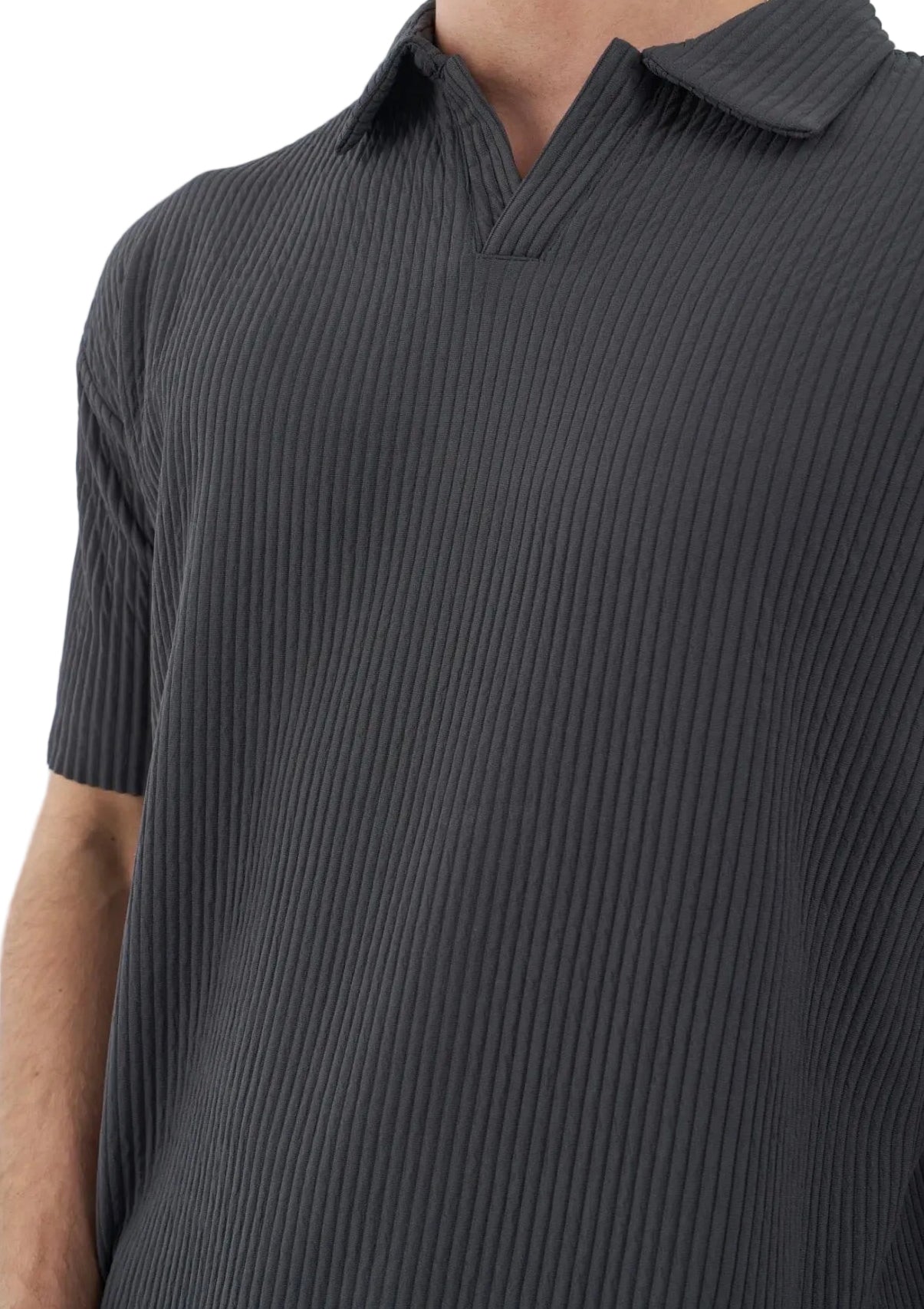 Gray Aster Set