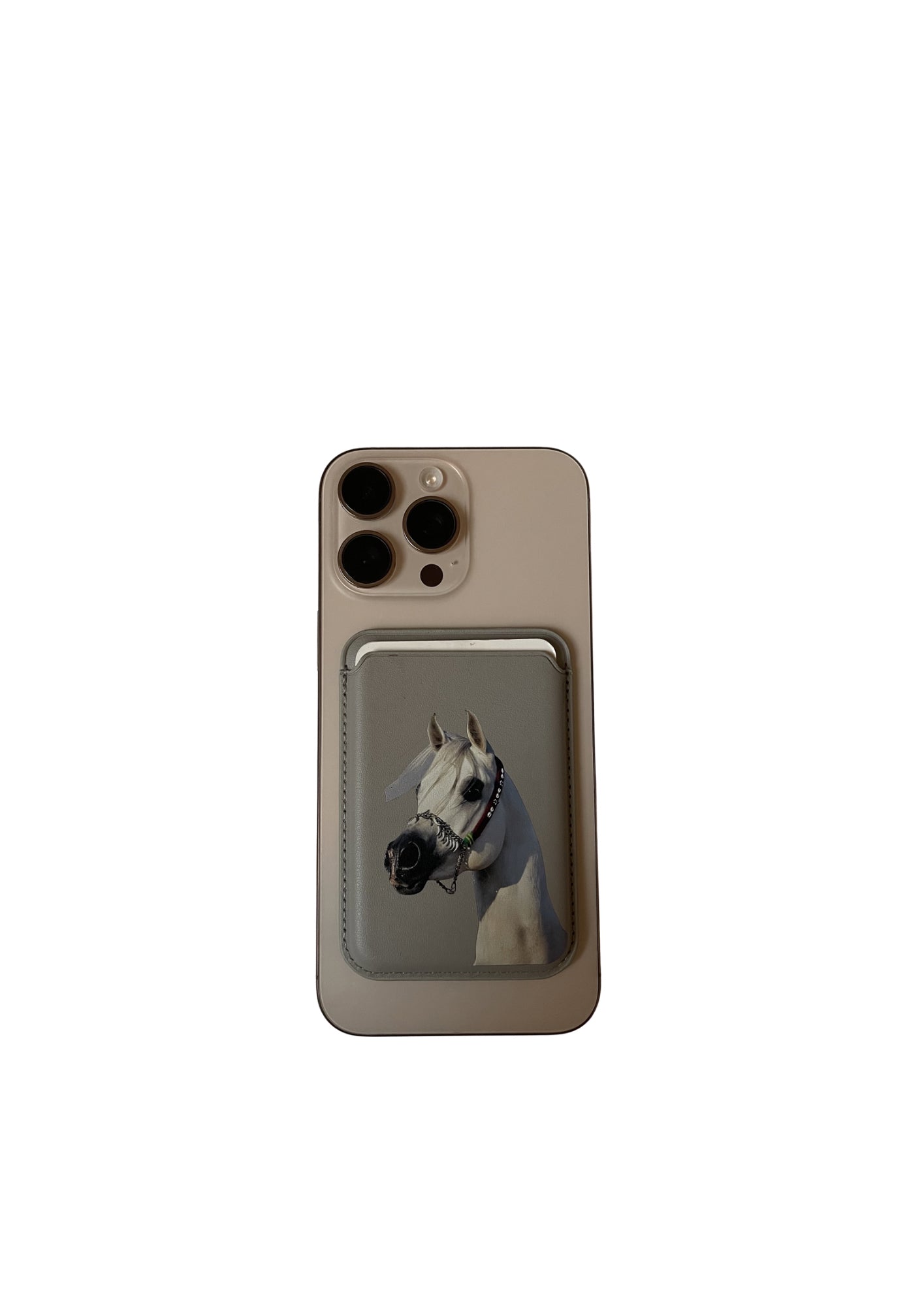 Card holder