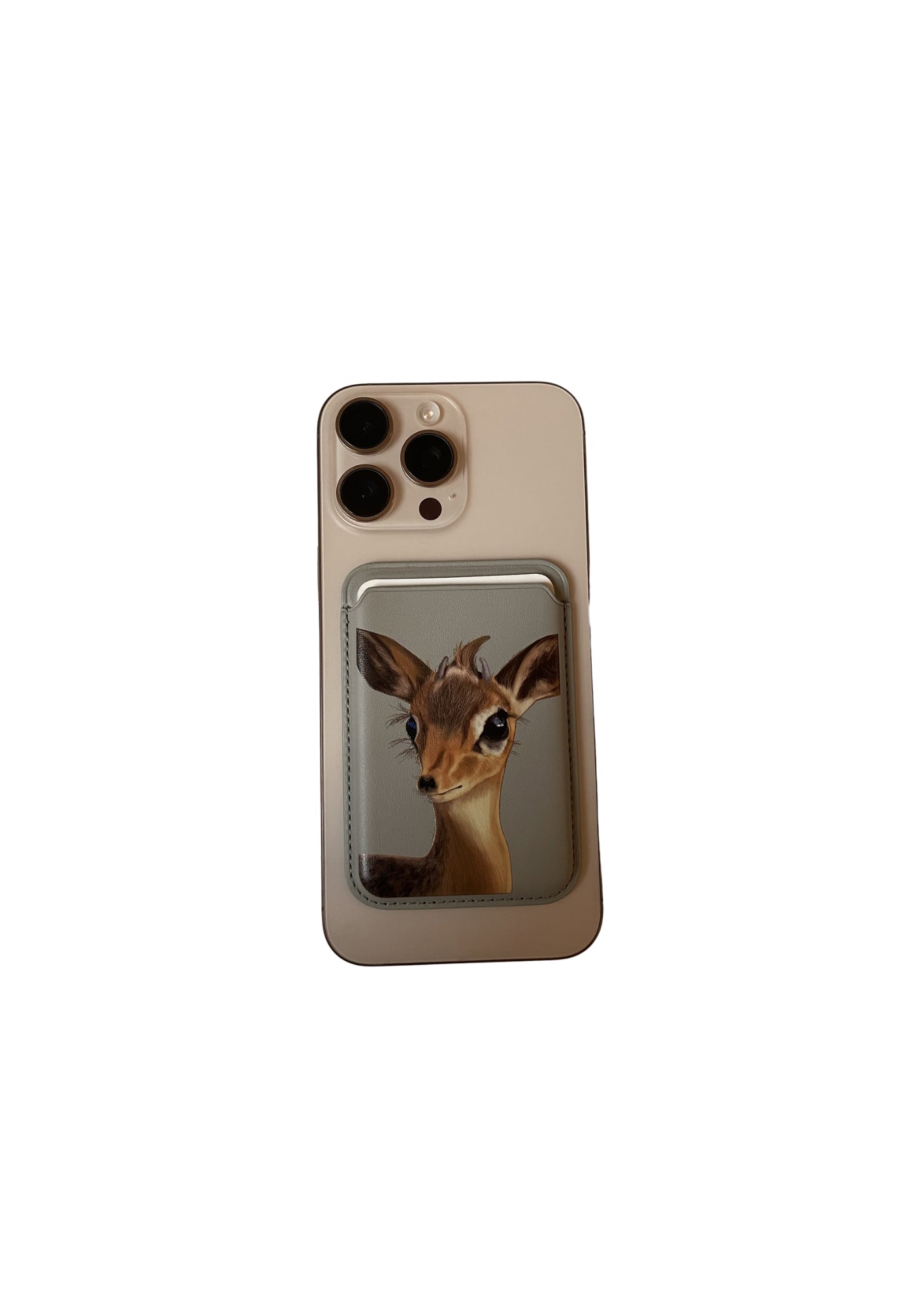 Card holder