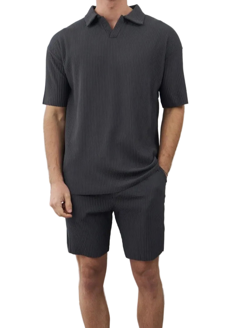 Gray Aster Set